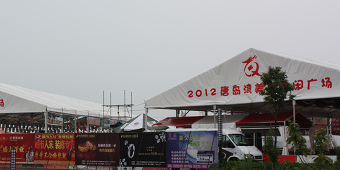 PG体育股份有限公司 东盟博览会临时展区篷房案例