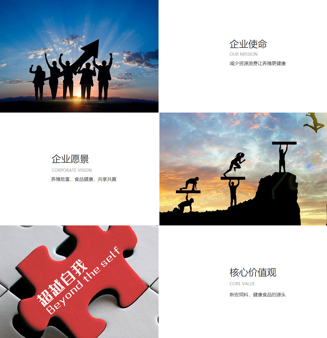公司文化(图1)